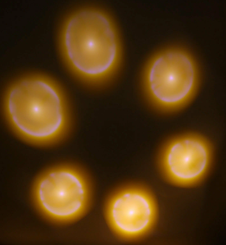 LED 3D Kristallen Beer Sfeerbol – 6 cm & 8 cm